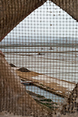 Image showing Salt field viewed from window