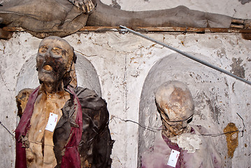 Image showing Catacombs of the Capuchins. Palermo