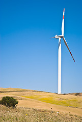 Image showing Wheatfield with windmills