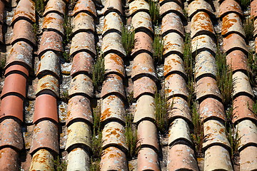 Image showing moss growing on old roof tiles