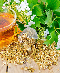 Image showing Tea from flowers of viburnum in strainer on wooden board