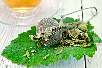 Image showing Sage dried in strainer on fresh leaf