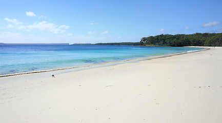 Image showing Pristine water at Greenfields Beach Jervis Bay