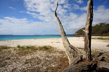 Image showing Greenfields Beach Jervis Bay Australia