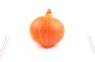 Image showing Single Pumpkin 