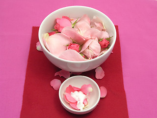 Image showing Pink roses and cream in  white bowls of chinaware on red background