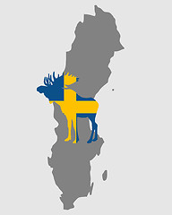 Image showing Swedish moose