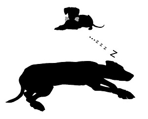 Image showing Dog dreams of feeding