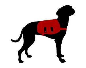 Image showing Dog with rucksack