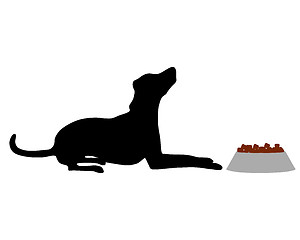 Image showing Dog feeding