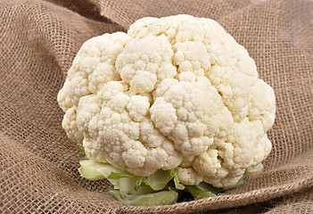 Image showing Cauliflower on jute