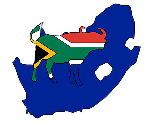 Image showing South Africa buffalo 