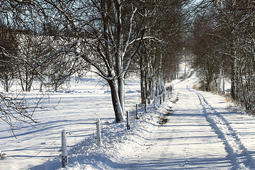 Image showing Snowy path in winter 