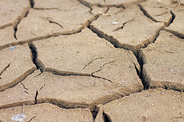 Image showing Closeup of dry soil