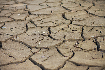 Image showing Dry land. Cracked ground background. 