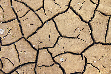 Image showing Dry soil cracking