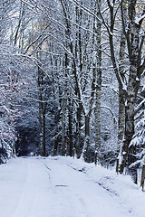 Image showing Cold and snowy winter road