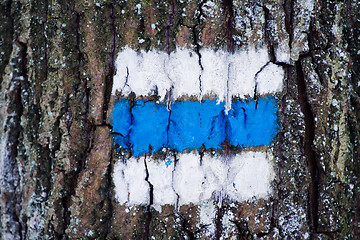 Image showing Tourist sign on the tree for a tourist trip