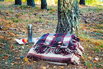 Image showing Two plaid relaxing in the woods for two and Breakfast.