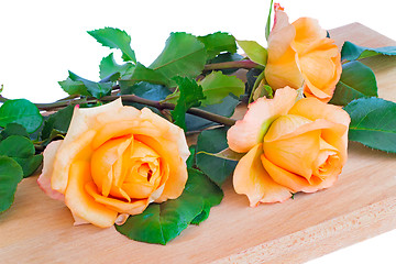 Image showing A beautiful bouquet of yellow roses on a white background.