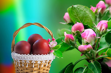 Image showing Red Easter eggs in a basket and flowers of Apple trees.