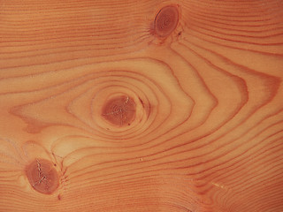 Image showing Larch wood background