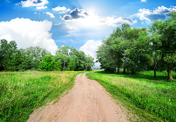 Image showing Road and trees