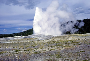 Image showing Old Faithful