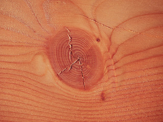 Image showing Larch wood background