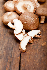 Image showing shiitake mushrooms