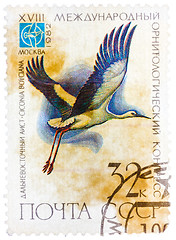 Image showing Stamp printed in USSR Russia shows a bird Ciconia boyciana wit