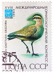Image showing Stamp printed in USSR (Russia) shows a bird Chettusia gregaria