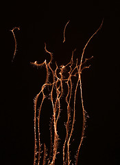 Image showing fireworks