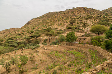 Image showing The steep mountains of Hararge region