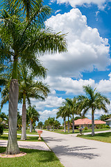 Image showing Sunny Florida