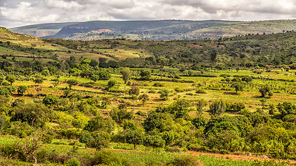 Image showing Beautiful landscape of Harar