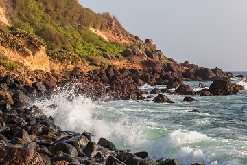 Image showing Shores of Dakar