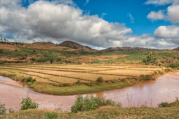 Image showing Naturally Beautiful Madagascar 