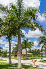 Image showing Sunny Florida