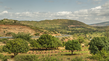 Image showing The road from Harar to Jigjiga