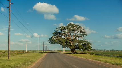 Image showing Country road 