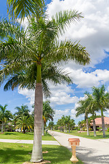 Image showing Sunny Florida