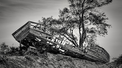 Image showing Shipwreck along the beach of Maputo Bay