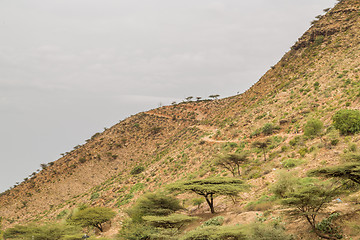 Image showing The steep mountains of Hararge region