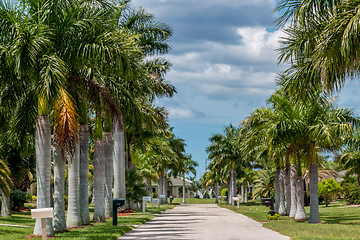Image showing Sunny Florida