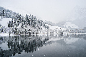 Image showing Winter Landscape