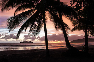 Image showing Tropical Sunset