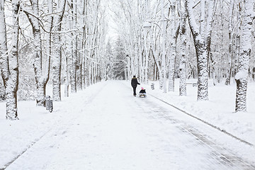 Image showing Park in winter.