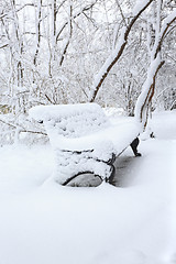 Image showing Bench under the snow.