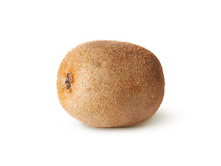 Image showing Single Of Juicy Kiwi Fruit